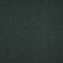 Solid green color swatch