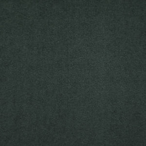 Solid green color swatch
