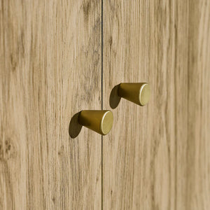 Two gold cabinet knobs on a wooden door