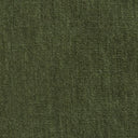 Solid green fabric texture swatch