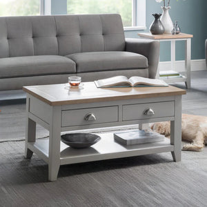 Gray sofa and coffee table with books and a bowl in a living room setting.